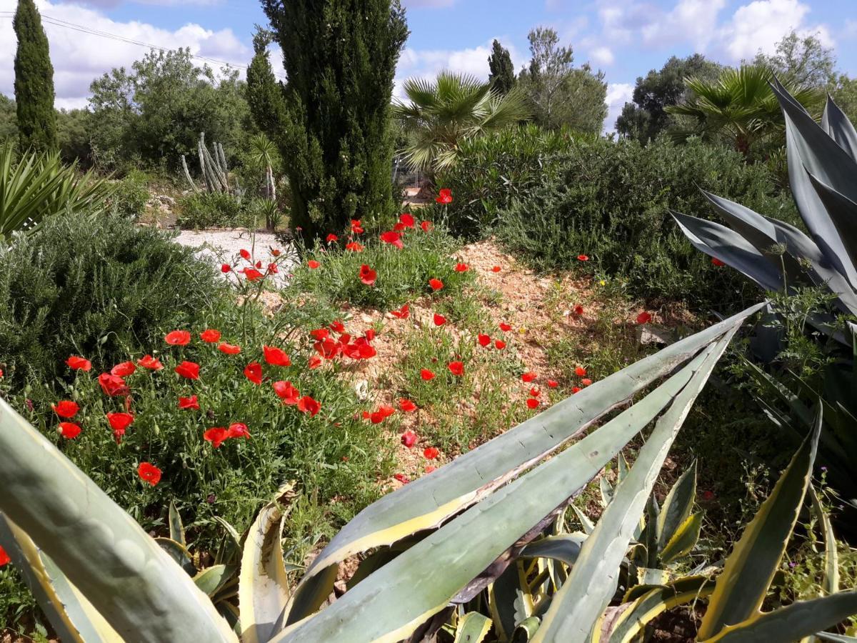 Finca Alqueria Fosca กัมโปส ภายนอก รูปภาพ