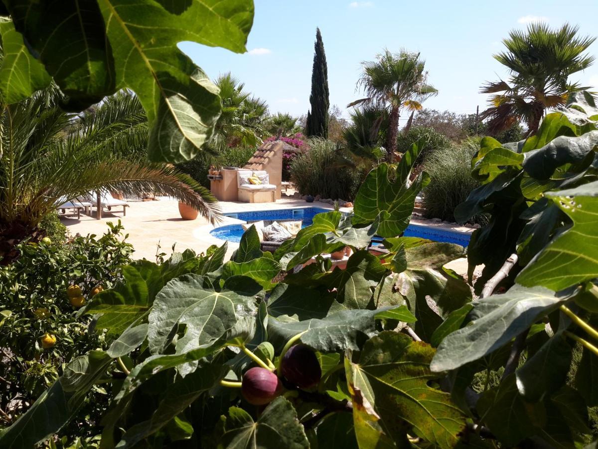 Finca Alqueria Fosca กัมโปส ภายนอก รูปภาพ