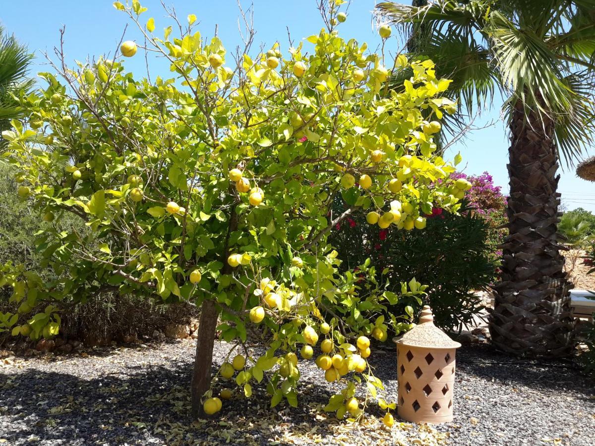 Finca Alqueria Fosca กัมโปส ภายนอก รูปภาพ