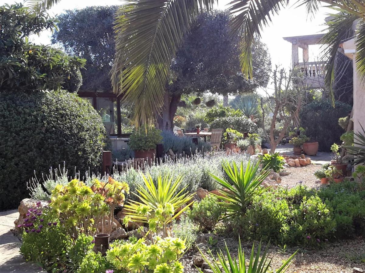 Finca Alqueria Fosca กัมโปส ภายนอก รูปภาพ