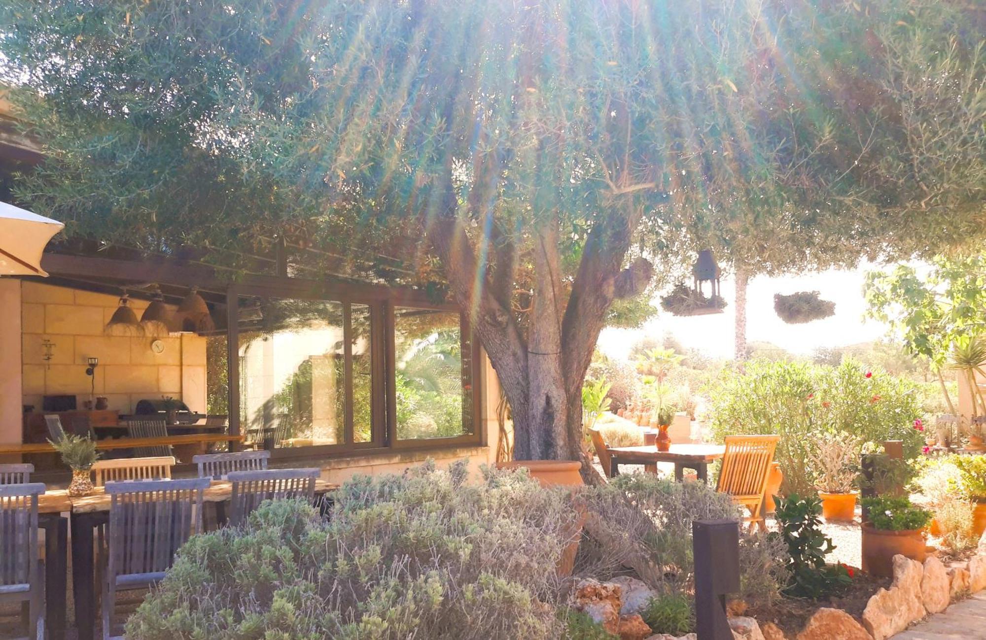 Finca Alqueria Fosca กัมโปส ภายนอก รูปภาพ